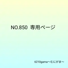 NO.850 イーちゃん様 専用ページ