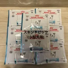 Item thumbnail for item 74411e8f-ff3a-41e0-b4f3-79a8b90d7707