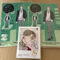 多聞くん今どっち！？ 特典 ペーパーフィギュア ミニフォトカード 橘敬人