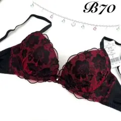 b70 フェアリー リッチローズ ブラジャー 71446 WI ワインのサムネイル