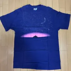 90s Hanes tシャツ