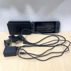 m*k様 Nintendo Switch グレー 本体とその他付属品