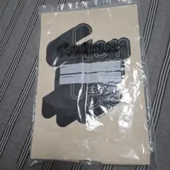 Item thumbnail for item 7bc05669-b2fa-4971-bf31-99c1c31cd0d6