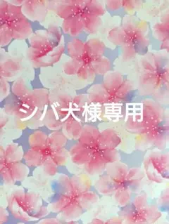 シバ犬様専用ページ