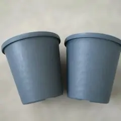 프라하 그레이스 3.5호 그릇 감색 식물