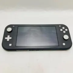 Switch Lite スイッチライト グレー 動作確認済み 1003_1001
