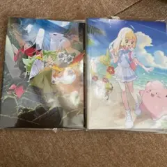 コレクションファイルセット　リーリエ　N 2