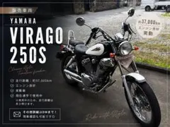 自賠責保険2年半以上付き 絶好調 YAMAHA xv250ビラーゴs スペシャル 