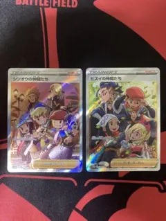 プロフ必読様 リクエスト 2点 まとめ商品