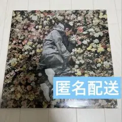 Pierre et Gilles (ピエールエジル）チバクロームプリント Pierre et Gilles (ピエールエジル）チバクロームプリント - メルカリ