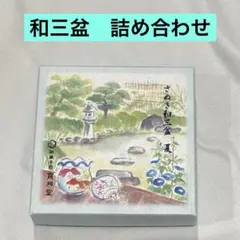 和三盆　寳月堂　ばいこう堂　三盆糖詰め合わせ 夏のサムネイル