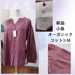 Item thumbnail for item 27601e75-f17e-4230-a6b7-49eaf0ea53b4