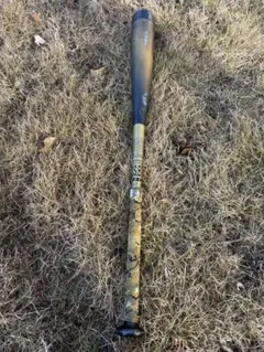 Item thumbnail for item 7630485e-9ae5-4083-853a-b136dcb065ff