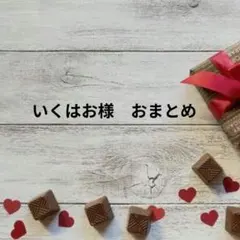 いくはお様 リクエスト 2点 まとめ商品