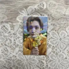 セブチ ジョシュア トレカ SECTOR17 ラキドロ ユニバ