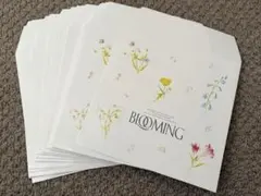 Item thumbnail for item 4a00a2ef-a43c-4045-958f-b9f275c9590f