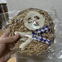 Item thumbnail for item 6a783fa4-86ce-4800-8740-28e7fd0d324d