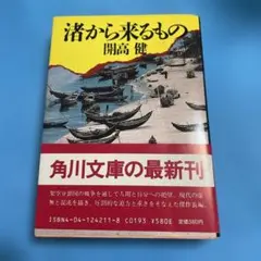 渚から来るもの / 開高健