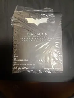 BATMAN THE DARK KNIGHT RISES フィギュア