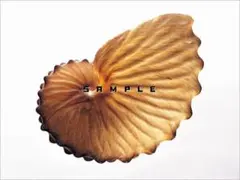 【自然】写真素材集　Hybrid CD-ROM