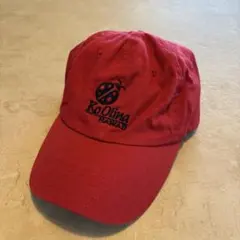 Item thumbnail for item fc2dfa5b-7c71-4273-bc1d-5554b2dee032