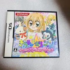 きらりんレボリューション きらきらアイドルオーディション DS ゲーム カセット