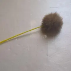 Item thumbnail for item 11878f36-603c-4093-b46a-039ffaef8403