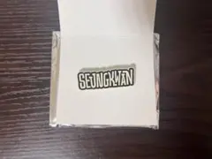 セブチ holiday ペンミ ピンバッジ ピンズ pins スングァン