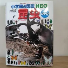 小学館の図鑑　NEO 昆虫　新版　DVD付