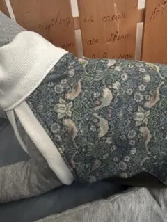 Item thumbnail for item 3a42e14d-13ab-42dd-96b5-c3308076a7e3