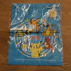 ★レア⭕️未開封✨️ピカチュウ　ポケットモンスター巾着袋　レトロ　匿名配送