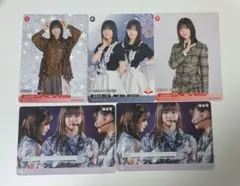 ビルディバイド ブライト 櫻坂46 TCG 大園玲 5枚セット N+ N - メルカリ