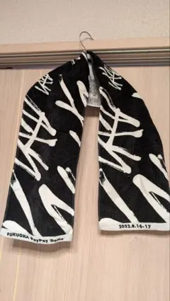 Stray Kids 5-star ドームツアー　福岡　ライブタオル　スキズ