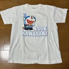 Item thumbnail for item a9c6d085-8f18-4610-bcaf-5ed61bb1c015