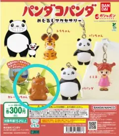 パンダコパンダ めじるしアクセサリー カレーパンちゃん　ガチャ