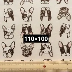 フレンチブルドッグ 柄　犬フェイス　綿オックス生地 ベージュ系　1m