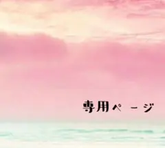 そら※コメント前にプロフ読んでください様 リクエスト 2点 まとめ商品