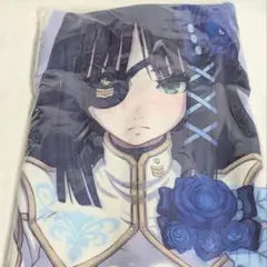 【14日まで特価】ファンタシースターポータブル2∞ オリジナル抱き枕カバー