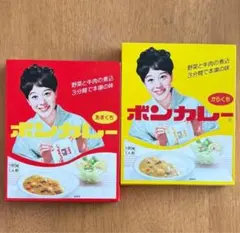 昔懐かしボンカレー〈沖縄限定〉からくち(辛口)+あまくち(甘口)のサムネイル