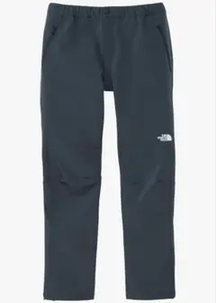 アルパインライトパンツ Lサイズ NB32301 ザ・ノースフェイス