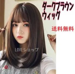 ダークブラウン　セミロング　かつら　フリーサイズ　ウィッグ　シンプルのサムネイル
