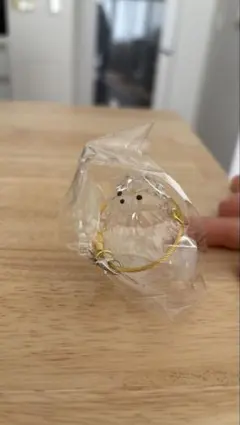 うちの子のけだまだま ポメラニアン