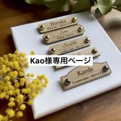 Kao様専用ページ