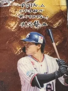 東京ヤクルトスワローズ 長岡秀樹 ペットボトルカバー ② - メルカリ