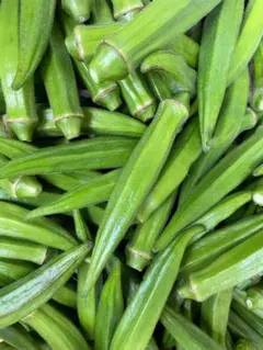 新鮮なオクラ 収穫したて 野菜のサムネイル