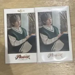 うらたぬき フォトカ(バラ売り) 浦島坂田船 うらたぬき たぬワン Update チェキ風カード フォトカ 2種