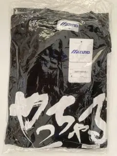 2026年最新】福井国体 tシャツの人気アイテム - メルカリ