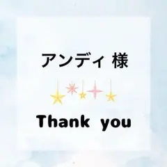 アンディ様専用ページ