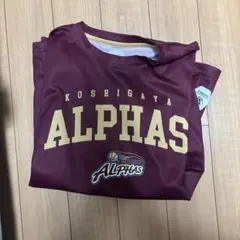 KOSHIGAYA ALPHAS バスケットボールTシャツ