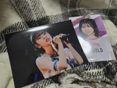 ジョナゴールド グッズ 2点セット